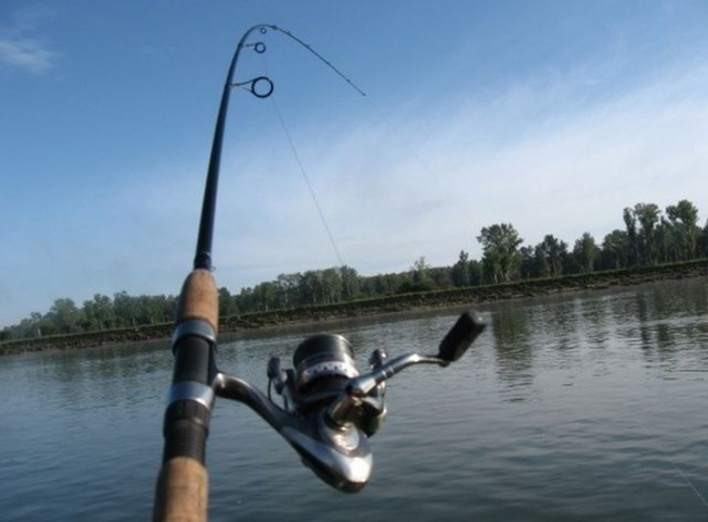 21 травня закінчився термін заборони любительського рибальства на річках та їх кореневих водах Сумщини  фото