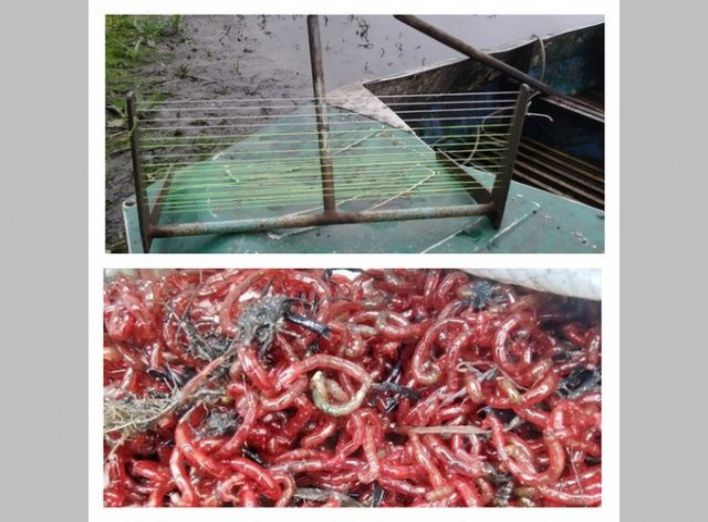За тиждень Сумський рибоохоронний патруль задокументував 22 порушення законодавства  фото