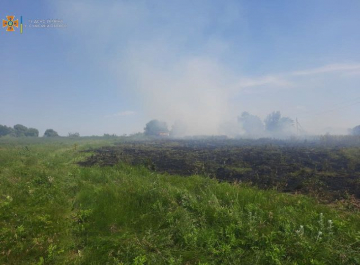 На Сумщині 24 червня вогнеборці ліквідували загоряння сухої рослинності фото