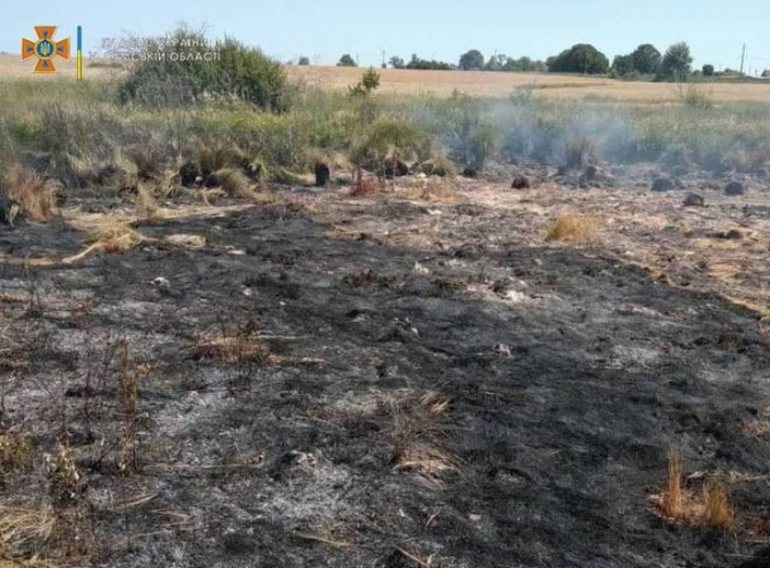 На Сумщині 14 липня вогнеборці ліквідували загоряння сухої рослинності фото