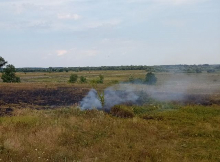 На Сумщині за минулу добу вогнеборці двічі ліквідовували загоряння сухої рослинності фото