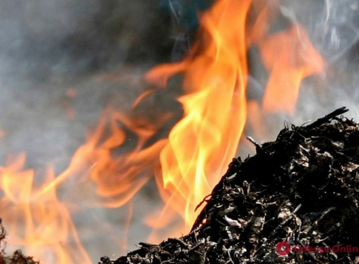 На Сумщині вогнеборці ліквідували загоряння сміття фото