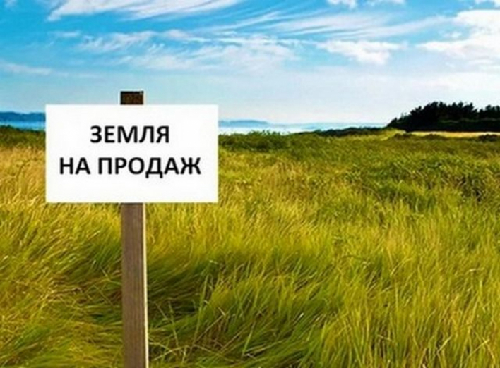 Станом на 2 серпня Сумщина входить до трійки лідерів за здійсненням земельних операцій фото