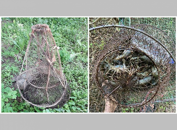 У липні 2021 року інспекторами Сумського рибоохоронного патруля викрито 47 порушень фото