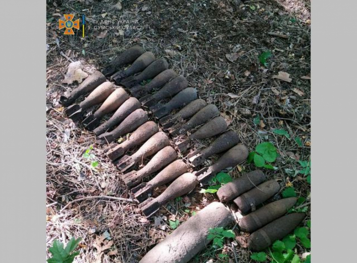 На Сумщині упродовж доби знешкоджено 29 застарілих боєприпасів, ще 27 виявлено фото