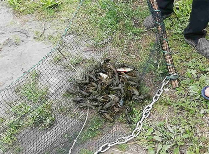 За 10 днів серпня Сумський рибоохоронний патруль задокументовав 24 порушення  фото