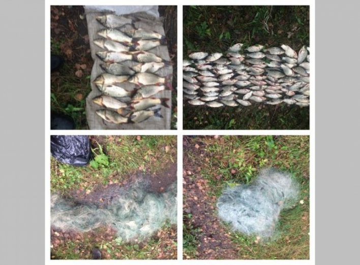 За перші сім днів вересня інспектори Сумського рибоохоронного патруля зафіксували 12 порушень фото