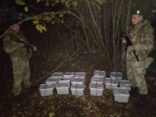 На Сумщині українські прикордонники виявили понад 175 кг червоної ікри з РФ фото