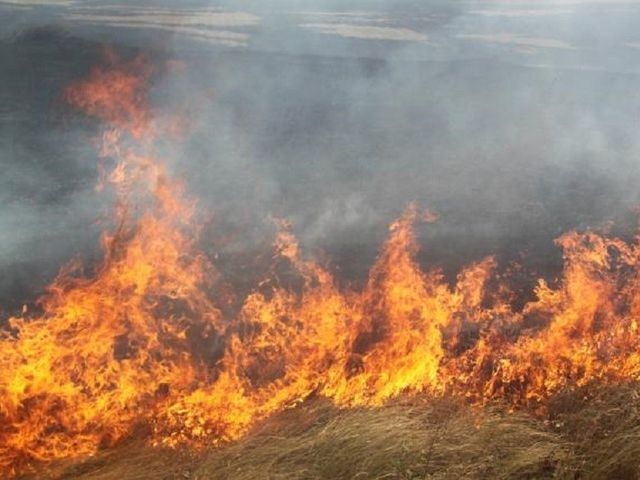 Поліція нагадує про заборону спалювання сухої рослинності  фото