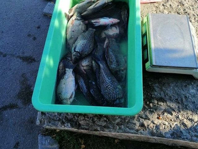 За шість днів Сумський рибоохоронний патруль зафіксував17 порушень  фото