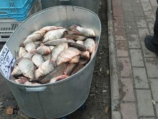 За пів листопада Сумський рибоохоронний патруль зафіксував 26 порушень фото