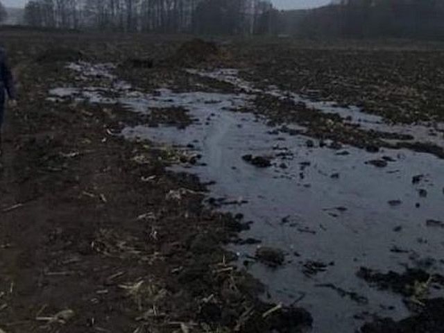 На Сумщині сталася аварія на нафтопроводі фото