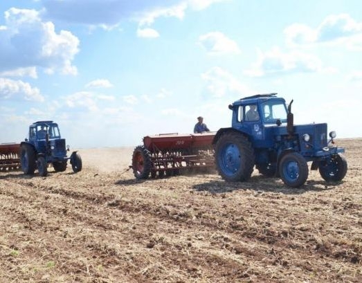 В Україні очікується врожай зернових на рівні 65% минулорічного