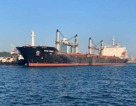 Другий караван суден із зерном вийшов із портів Одеси  фото