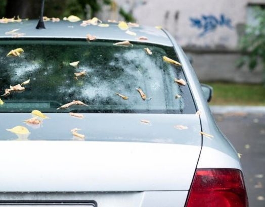 back_window_of_a_gray_car_parked_on_the_street_in_autumn_rainy_day_with_fallen_leaves_rear_view_106745_1098__1__650x410.jpg