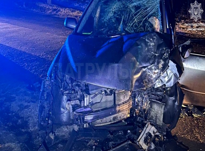 У Сумах вночі автівка врізалась у дерево: троє постраждалих (відео) фото