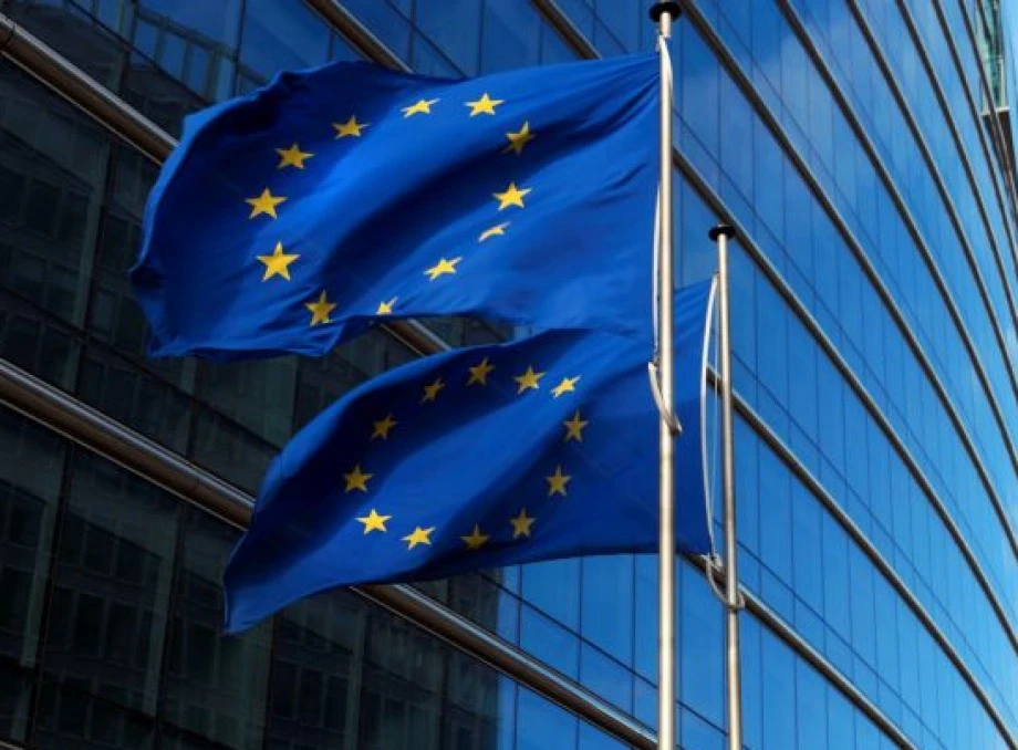 Євродепутати вимагають призупинити статус кандидата у ЄС для Грузії