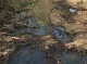 На Роменщині стався аварійний витік нафти: забруднено 75 кв. м ґрунту